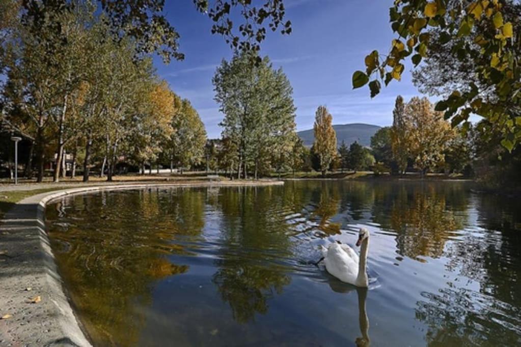 Ideal Parejas - Tranquilidad Y Naturaleza - Vistas Al Lago โอเซฌา ภายนอก รูปภาพ