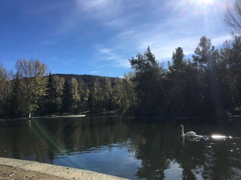 Ideal Parejas - Tranquilidad Y Naturaleza - Vistas Al Lago โอเซฌา ภายนอก รูปภาพ